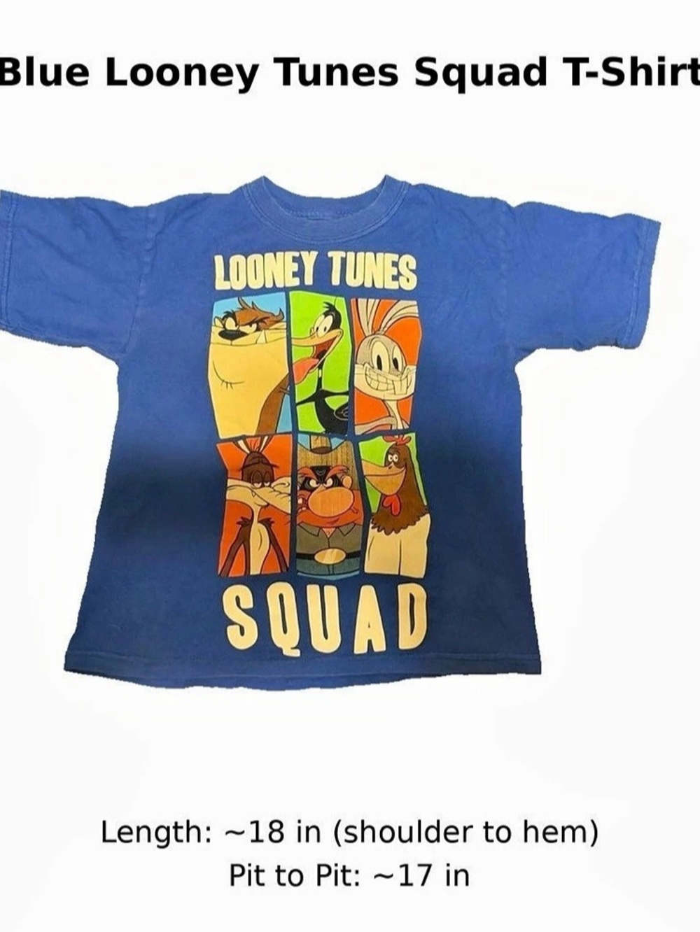 Looney Tunes Squad Blue Character Graphic T-Shirt Size Small